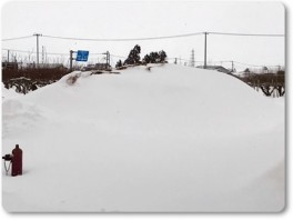 雪が解けてきたもみ殻堆肥の山