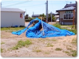 ちょっと残っているもみ殻堆肥