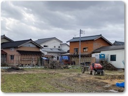 剪定された枝