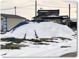 もみ殻堆肥の雪の様子