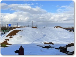 大雪後のもみ殻堆肥の山