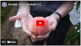 大学生が制作した当園の動画