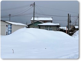 雪をかぶったもみ殻堆肥の山