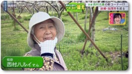 おばあちゃん