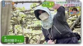 お母さん