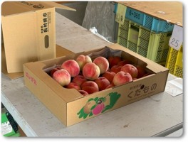 発送作業台の桃