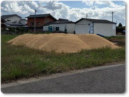 今年のもみ殻堆肥の山