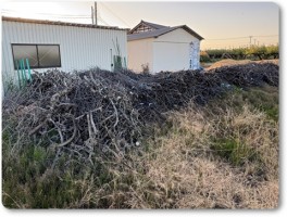 剪定された枝。 剪定された枝。