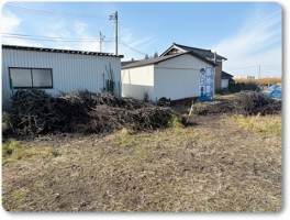 剪定された枝-2 剪定された枝-2