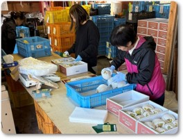 ル・レクチエの発送