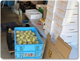 ル・レクチエの発送-2