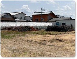 剪定された枝の山